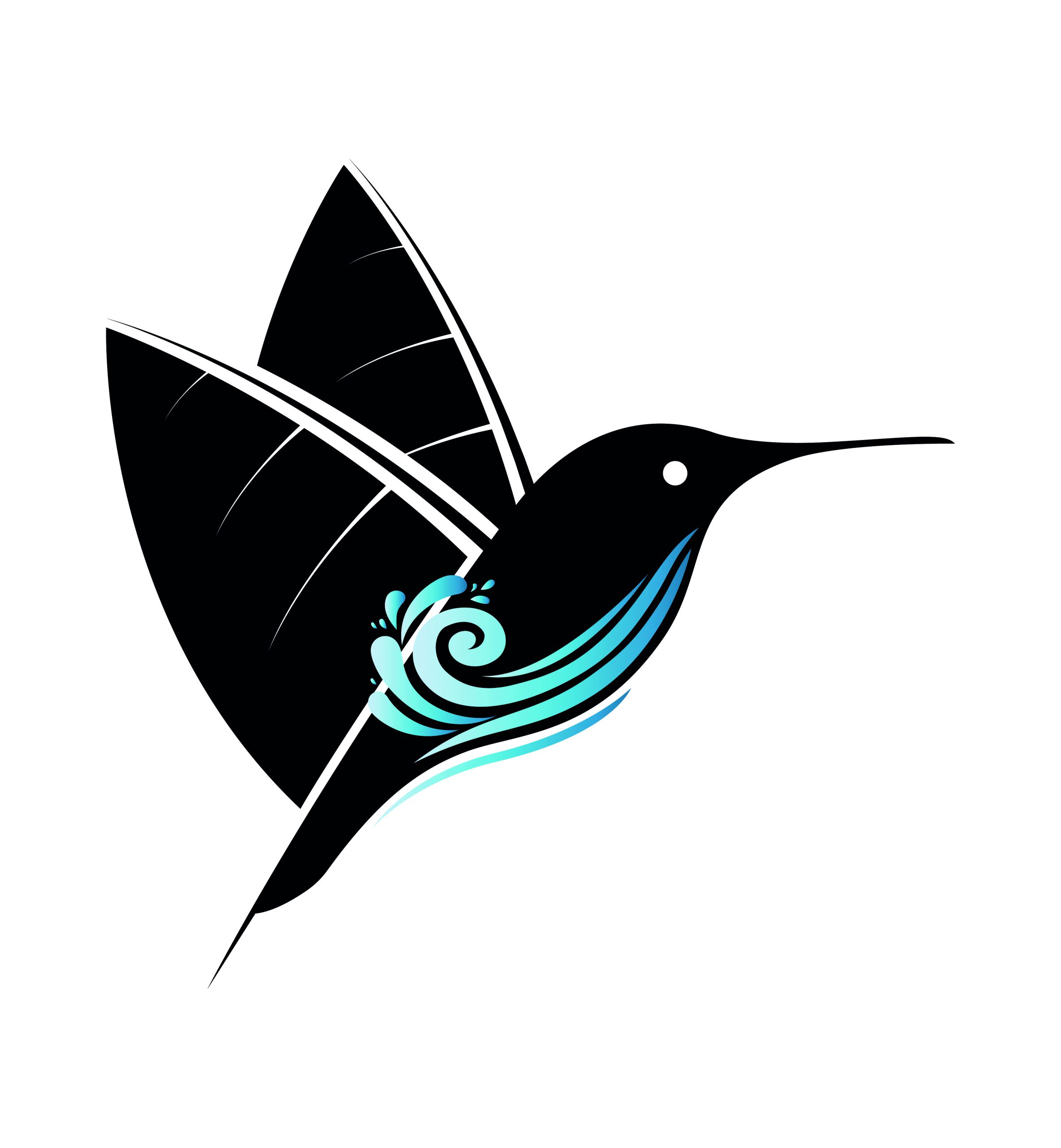 Colibri sailing